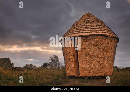 Mother at Wicken Fen Stock Photo