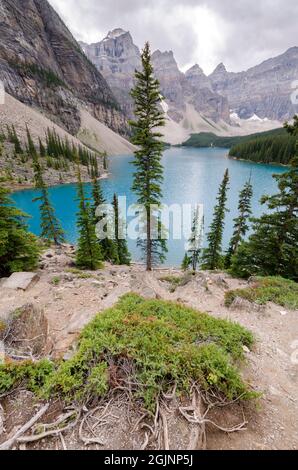 Moraine Lake in cloudy day in summer in Banff National Park, Alberta, Canada Stock Photo