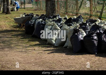 Lots of Black Trash Bags with Autumn Leaves in Them Around a Tree