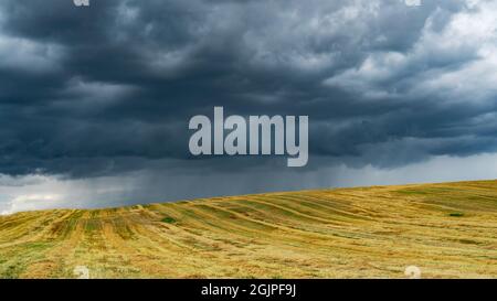Thereal rain is pouring down. Heavy rain over a field in the countryside. Dark blue clouds over a yellow field with mown straw. Picturesque landscape Stock Photo