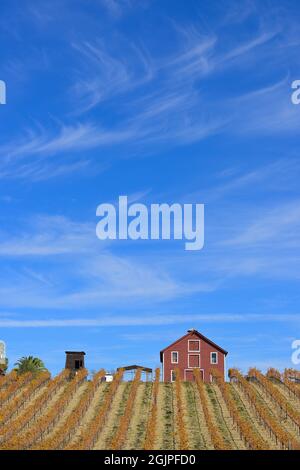 The Teldeschi vineyards and a red barn at the Family Wineries Tasting Room - Beautiful fall scenery at the Dry Creek AVA, Healdsburg (Sonoma) CA Stock Photo