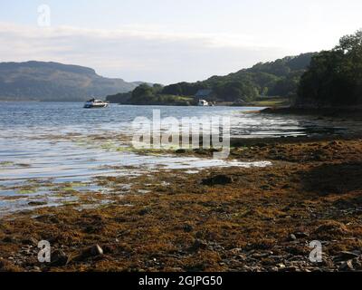 Evening sunshine on the shores of Loch Melfort in the Scottish Highlands: the seaweed has a golden glow, the water is calm and the hills are hazy. Stock Photo