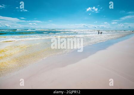 Dueodde, the white sandy beach on the south coast of Bornholm, Denmark
