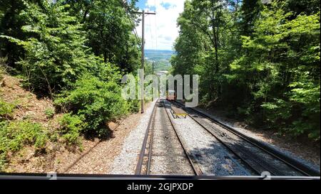 Train going through the forest on a sunny day Stock Photo