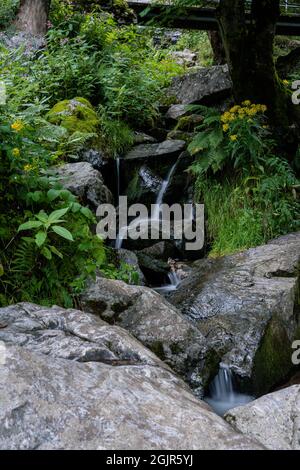 todtnauer waterfalls of the black forest (Schwarzwald), Baden-Wuerttemberg, Germany Stock Photo