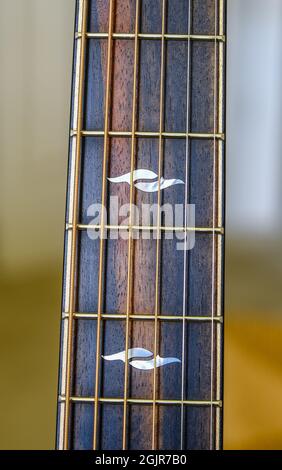 Ebony Neck on Guitar Stock Photo