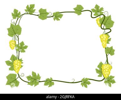 Rectangular Frame. Vine with foliage and bunches of grapes. Viticulture and farming. Branches with berries on a dense bush. Young vineyard. Sweet Stock Vector