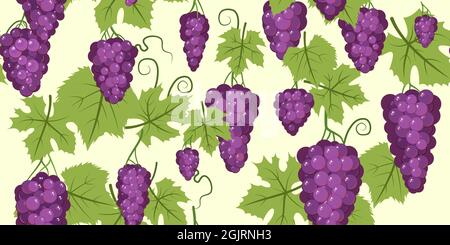 Purple red grape bunches on the vine. Branches with berries on a dense bush. Young vineyard. Sweet autumn harvest. Seamless horizontal composition Stock Vector