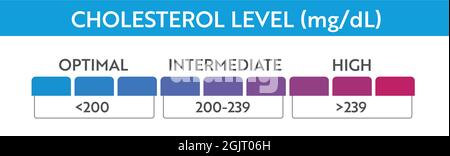Cholesterol level meter indicator. Medical speedometer. Chat control concept presentation Stock Vector