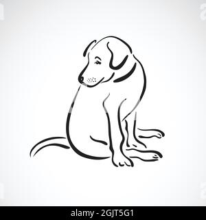 Vector of sitting dog(Labrador Retriever) on white background, Pet. Animals. Easy editable layered vector illustration. Stock Vector