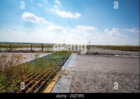 Metal cattle crossing ground gate with weeds growing between Stock Photo