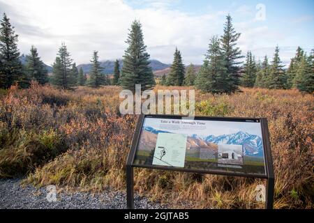 Mt. Denali can be seen from the Mountain Vista walking area in Denali National Park, AK, USA Stock Photo