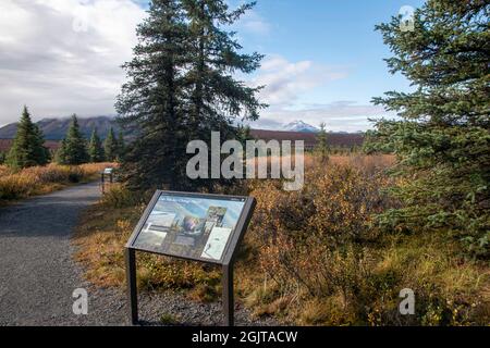 Mt. Denali can be seen from the Mountain Vista walking area in Denali National Park, AK, USA Stock Photo