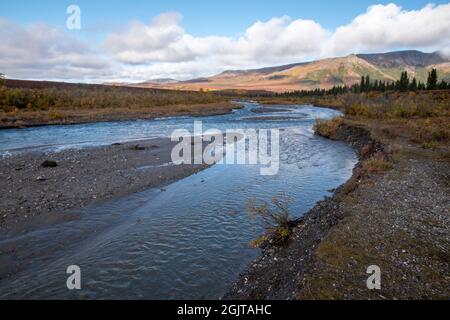 Mt. Denali can be seen from the Mountain Vista walking area in Denali National Park, AK, USA Stock Photo