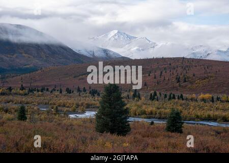 Mt. Denali can be seen from the Mountain Vista walking area in Denali National Park, AK, USA Stock Photo