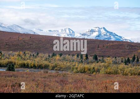 Mt. Denali can be seen from the Mountain Vista walking area in Denali National Park, AK, USA Stock Photo