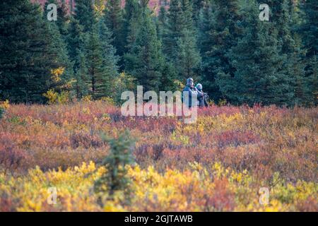 Mt. Denali can be seen from the Mountain Vista walking area in Denali National Park, AK, USA Stock Photo