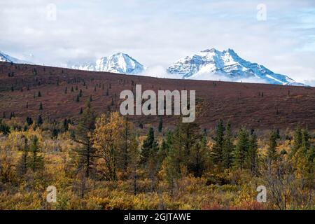 Mt. Denali can be seen from the Mountain Vista walking area in Denali National Park, AK, USA Stock Photo