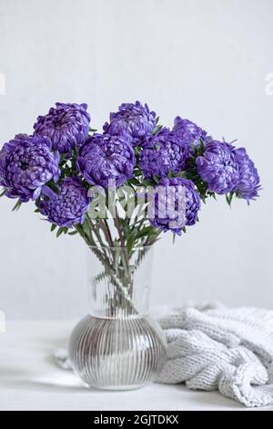 A bouquet of blue chrysanthemums in a glass vase on a white background. Stock Photo
