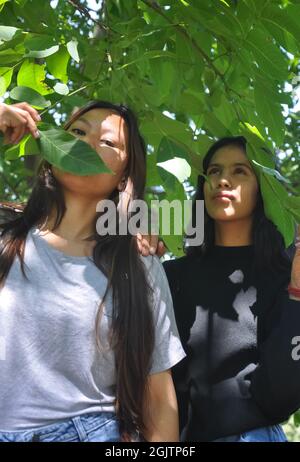 Low angle view of two beautiful south asian young girls posing outside in below leafy tree Stock Photo