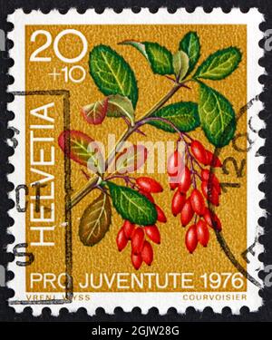 SWITZERLAND - CIRCA 1976: a stamp printed in the Switzerland shows Barberry, Berberis Vulgaris, Medicinal Forest Plant, circa 1976 Stock Photo