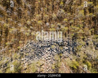 Aerial view of dwarf-shrub pine bog by field of rocks Stock Photo