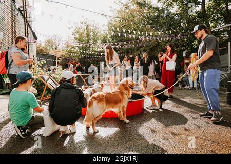 September 11, 2021 Minsk, Belarus - Golden retriever. Pet festival in the city park on a bright sunny day. Dog show. Holiday Stock Photo