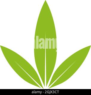 Cannabis leaf icon logo design inspiration vector template Stock Vector