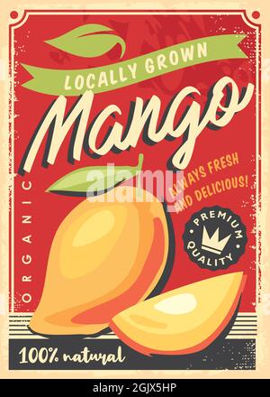 Mango locally grown tropical fruit decorative ad design for fruit market. Mango fruits retro vector poster template. Fresh organic food. Stock Vector