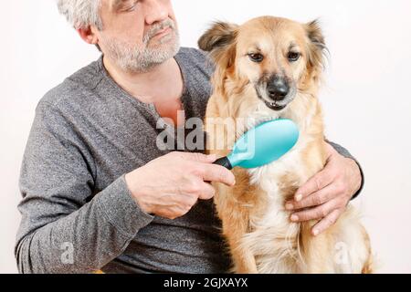 Friends forever: man brushing his lovely dog. Relax time Stock Photo