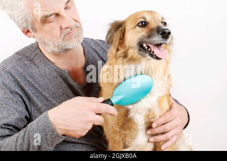 Friends forever: man brushing his lovely dog. Relax time Stock Photo