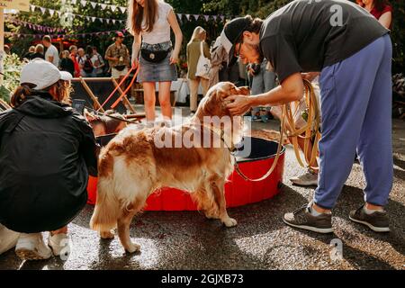 September 11, 2021 Minsk, Belarus - Golden retriever. Pet festival in the city park on a bright sunny day. Dog show. Holiday Stock Photo