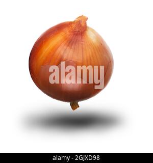 Large whole onion isolated on white with a shadow. Single raw healthy vegetable Stock Photo