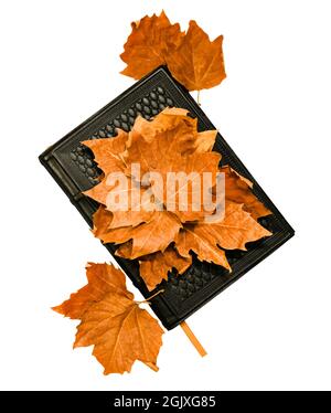 Leather notebook and autumn red dried leaves. Isolated on a white background. Stock Photo