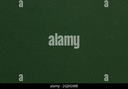 Green fabric texture background. Vector illustration for your fresh natural design. Book cover. Stock Photo