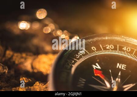 Compass in the forest close-up, navigation background Stock Photo