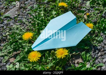 Children's toy paper plane lies in yellow flowers and grass on the ground Stock Photo