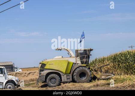 A Claas Jaguar corn forage harvester in Merced County California USA Stock Photo