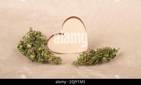 heart valentine day with cannabis buds, love symbol greeting card for marijuana lovers. Stock Photo