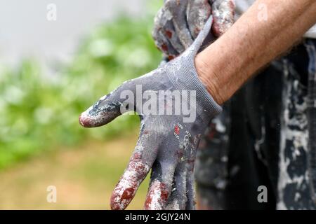 A man putting on protective gloves for painting Stock Photo