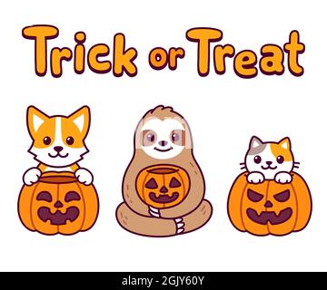 Cute cartoon animals with Halloween pumpkins and text Trick or treat. Corgi dog, sloth and cat. Funny characters set, vector clip art illustration. Stock Vector