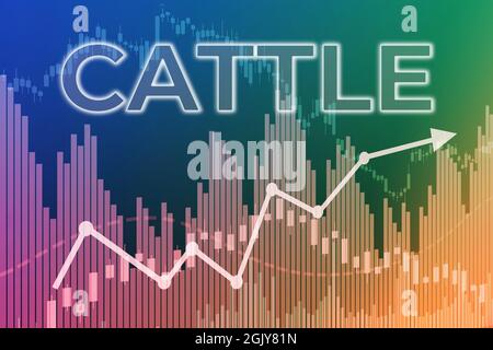 Price change on trading Cattle futures on finance background from graphs, charts, columns, pillars, candles, bars, number. Trend Up and Down, Flat. 3D Stock Photo