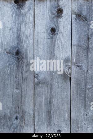 Close-up of a bit weathered wood boards with light blue hue, front view. High resolution full frame textured background. Stock Photo
