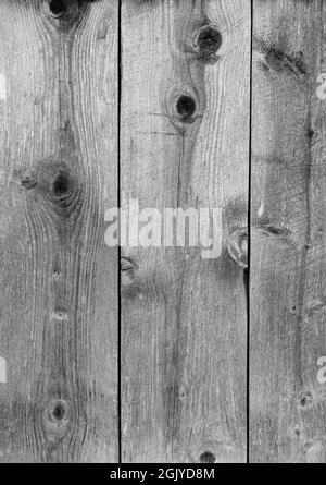 Close-up of a bit weathered gray wood boards, front view. High resolution full frame textured background in black and white. Stock Photo