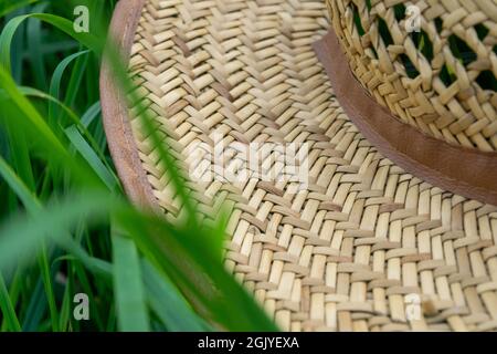 An old straw hat on the green grass, close-up, selective focus Stock Photo