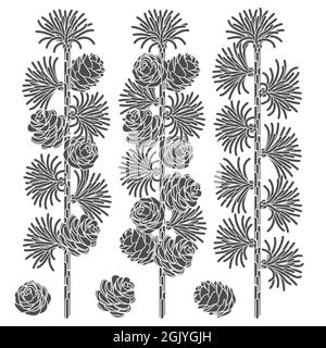 Set of black and white images of larch branches and cones. Isolated vector objects on white background. Stock Vector