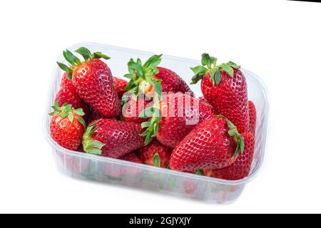 Strawberry in plastic, transparent container box, isolated on white background. Stock Photo