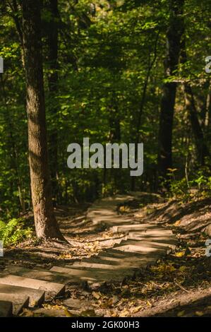 Wooden stairs for walk in forest. Gauja National park near Sigulda in Latvia. Beautiful nature. Stock Photo