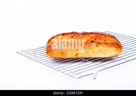 Freshly baked sourdough and cheese artisan bread laid on a wire metal cooling rack Stock Photo