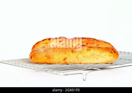 Freshly baked sourdough and cheese artisan bread laid on a wire metal cooling rack Stock Photo